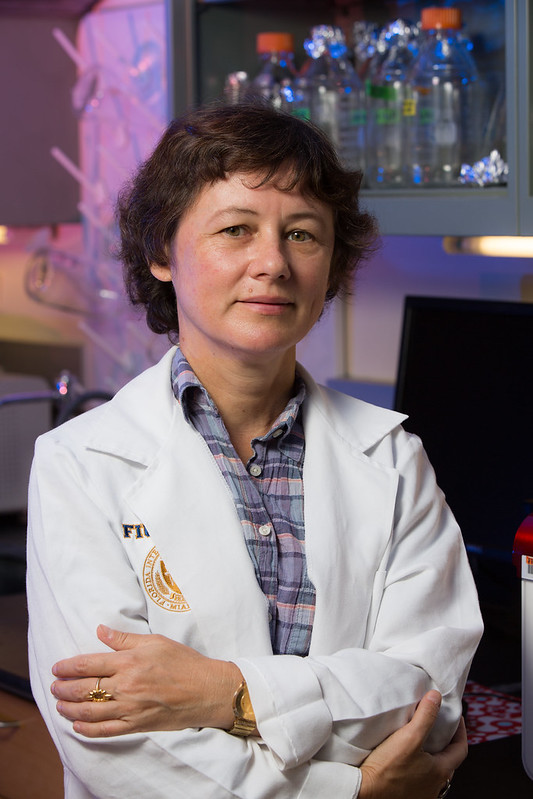 Irina Agoulnik, Ph.D.