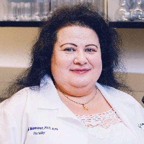 Heidi M. Mansour, Ph.D.