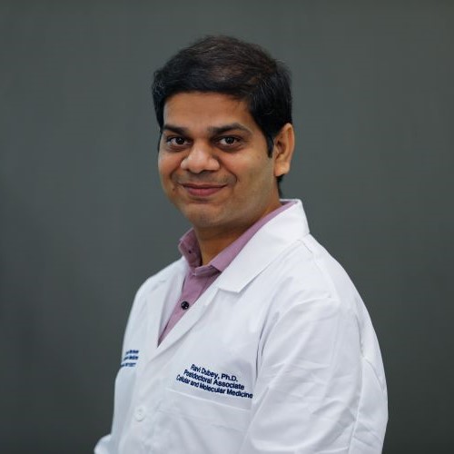 Ravi C. Dubey, Ph.D.