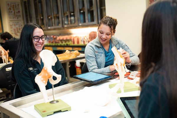 Image of students examining hip bone in biology lab